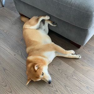 Meet your Posher, Gwen